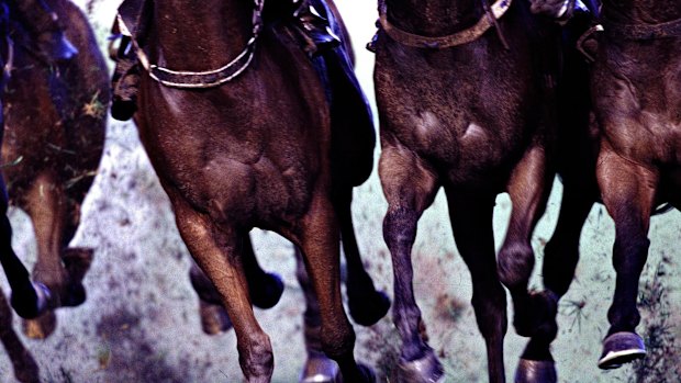 Racing returns to Murwillumbah on Friday.