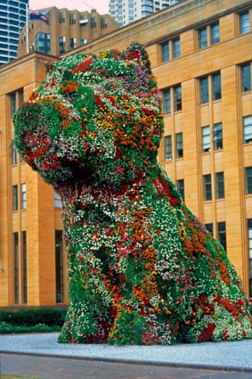 Puppy at the Museum of Contemporary Art.