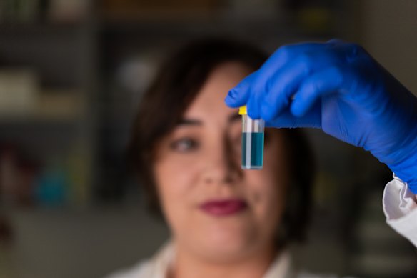 Dr Jacinta Martin co-authored a paper on the effects of PFAS on mice fertility.