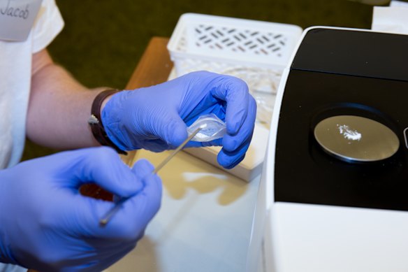 Pill testing services have been scrapped in Queensland.