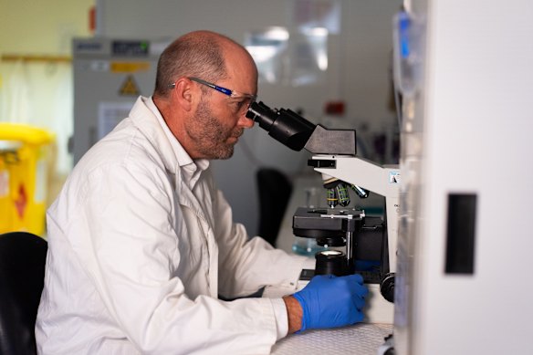 Male fertility expert Professor Brett Nixon.