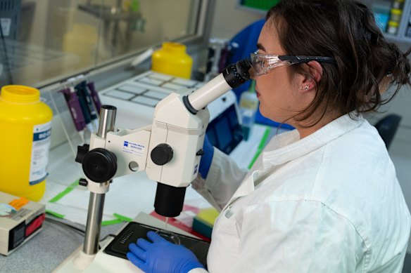 Dr Jacinta Martin co-authored a paper on the effects of PFAS on mice fertility.