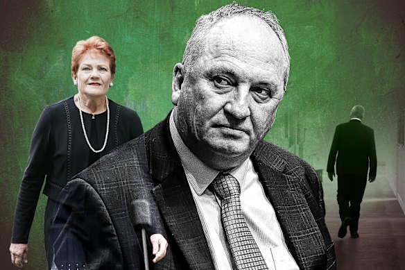 Under a new plan, Barnaby Joyce is set to eventually succeed One Nation leader Pauline Hanson.