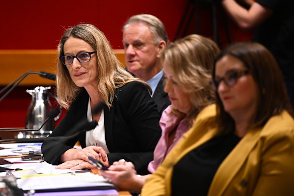 Greens MP Sue Higginson has called for a critical incident investigation into the arrest.