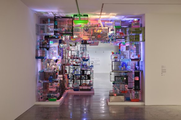  Young Australian Artists at the Museum of Contemporary Art Australia.