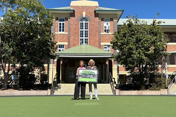 Former West End State School long-time teacher Mary Skarparis and former principal Judy Thompson hold an image of the fig tree that stood for more than a century on the site.