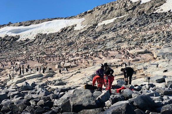 Setting up filming on Penguin Island in Antarctica in 2018.