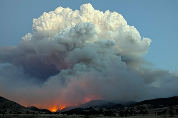 Smoke fills the sky above the Walwa bushfire, on the Victoria and NSW border.