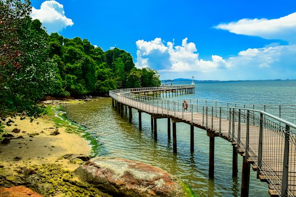 Serene boardwalk on Pulau Ubin island.