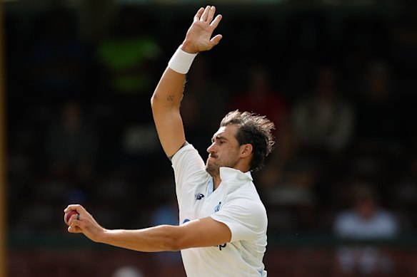 Mitchell Starc is poised to become Test cricket’s greatest left-arm pace bowler.