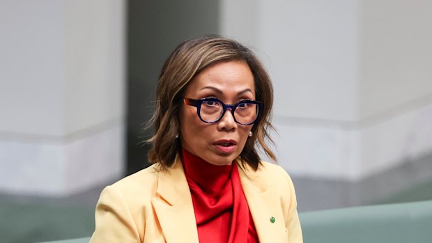 Independent MP Dai Le.