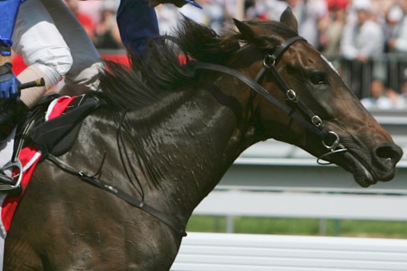 Makybe Diva wins the 2005 Melbourne Cup