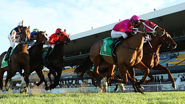 Robusto wins at Rosehill in July.