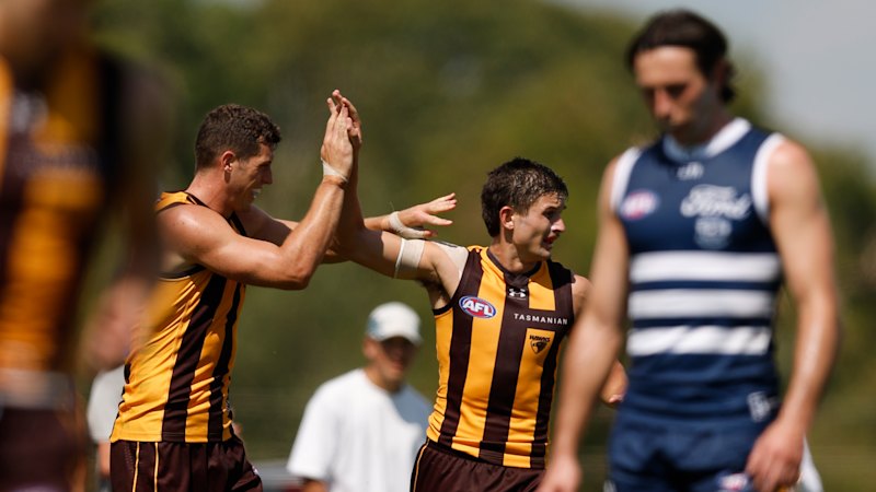 Hawks defeat depleted Cats in Dingley