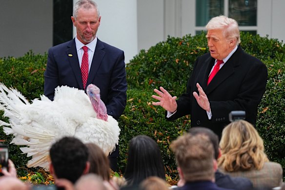 “You are hereby unconditionally pardoned,” Trump said, as Gobble reacted by, well, gobbling.