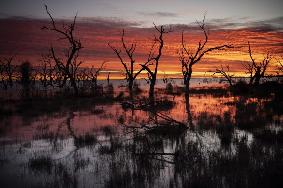 The Menindee Lakes in far western NSW flooded in 2021.