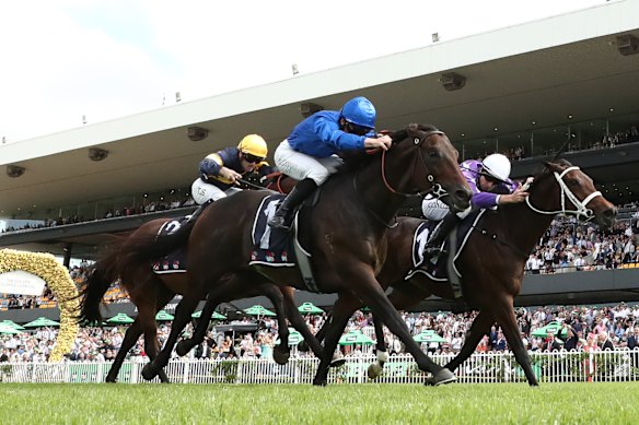Swiftfalcon finishing behind the now-retired Broadsiding and Chris Waller-trained star Aeliana in the Rosehill Guineas.