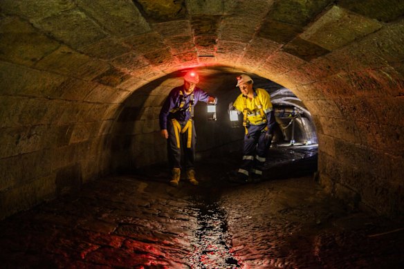 Free the Tank Stream! Let people walk beside it instead of underground