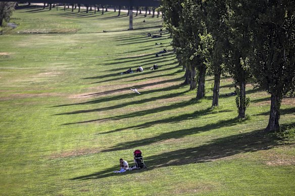 People shelter under the shade of trees during a heat wave in Lleida, Spain.