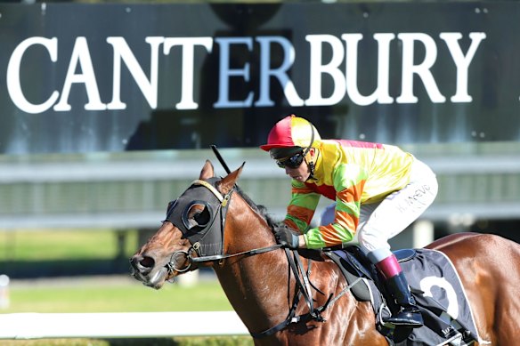 Trainer Matt Vella is targeting a breakthrough win at Canterbury on Wednesday.