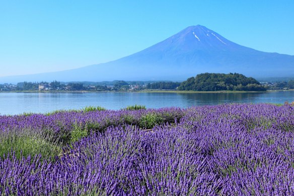 The views of Japan’s iconic 3776-metre Mount Fuji are as brilliant as its reflections from the Fuji Five Lakes.