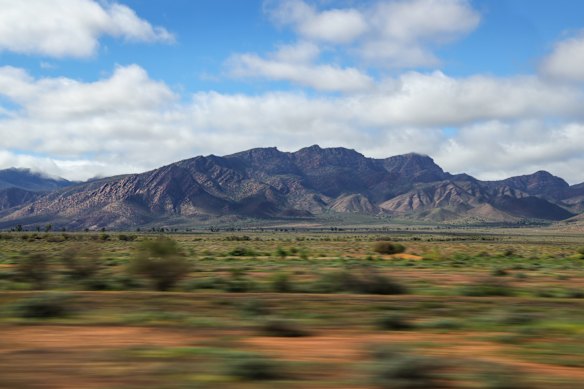 The outback is suddenly flush with greenery.