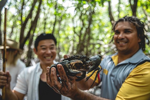 Hunting for bush tucker in the mangroves … Walkabout Cultural Adventures.