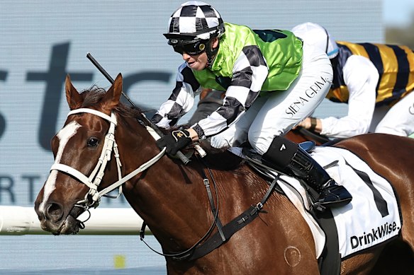 Siena Grima riding Travolta to a win at Rosehill Gardens earlier this year. 