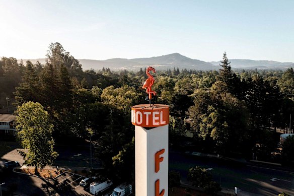 On the doorstep of California’s beautiful redwood forests … Flamingo Resort, Santa Rosa.