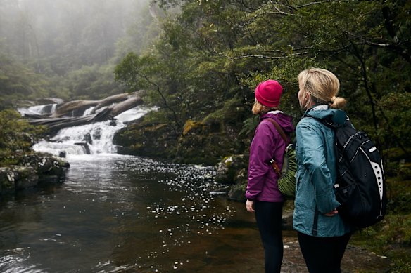 Choosing stream-time over screen-time at Barrington Tops.
 