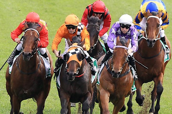 Racing returns to Grafton on Sunday.