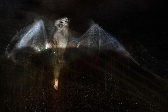 One of Crispin’s Lumachrome glass prints, “Enid, connected to Earth by zodiacal light - spider-strings in the old language, the umbilicus of Country.” 