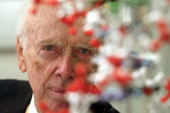 Pioneering biologist James Watson pictured in 2004.