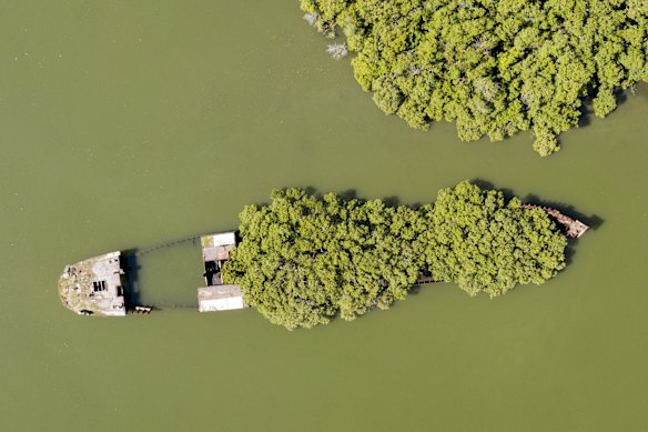 SS Ayrfield, a shipwreck-turned-floating garden.
