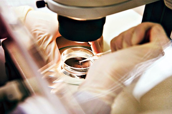 More Australian researchers are applying for grants each year, but the amount of money available has stayed relatively static.