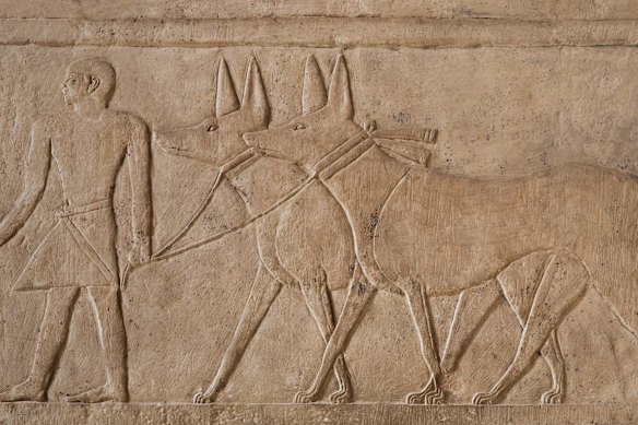 Dogs were revered in Ancient Egypt, but during the Late Period were mistreated and killed as votive offerings.