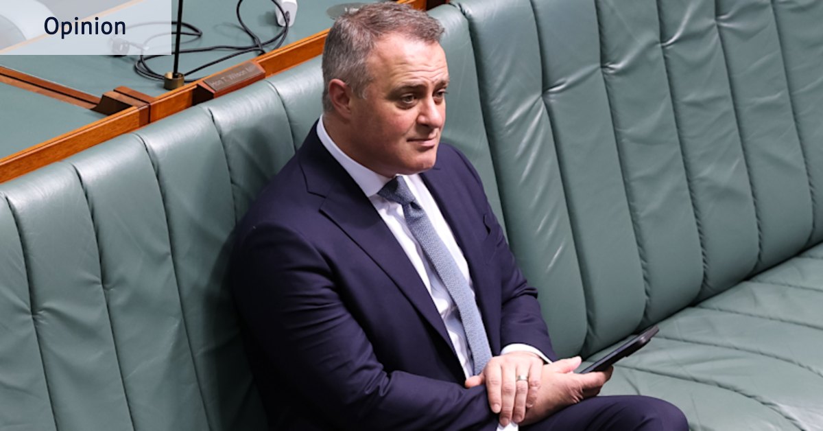 Tim Wilson says there’s one key reason voters will punish Albanese