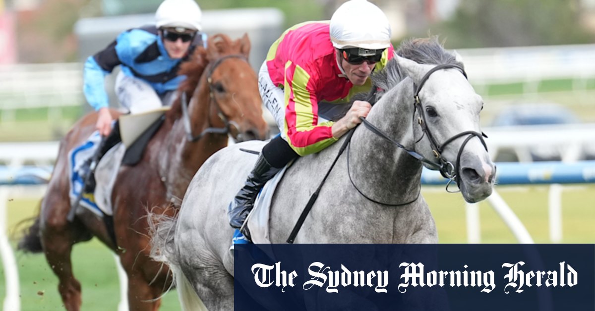 Trainer wary of hard track after long road back for Kingswood in Hill Stakes