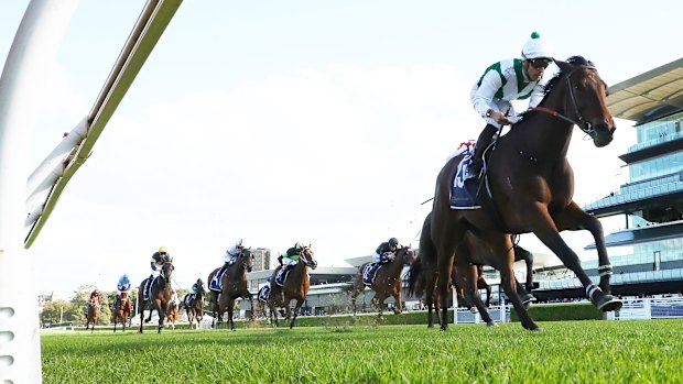 Millie De Lune, pictured romping home at Randwick, is chasing the Winx Guineas on the Sunshine Coast.
