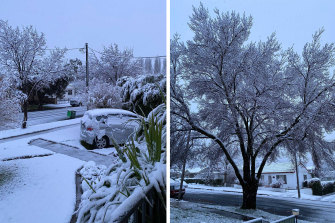 Snow blanketed Orange in NSW’s central west overnight.