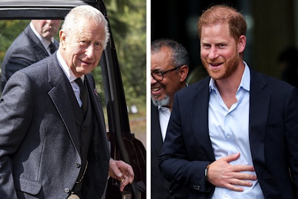 King Charles and his son Harry met for the first time in almost two years this month.