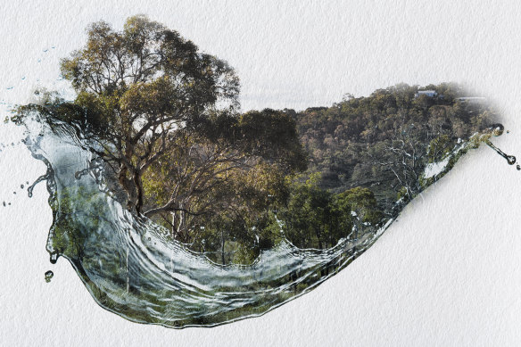 A group called Save Perth Hills Water has surfaced to tackle concerns around commercial water extraction in the region.