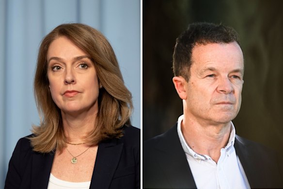 Vaucluse MP Kellie Sloane and former NSW Liberal leader Mark Speakman.