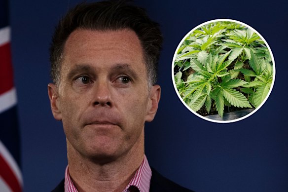 Premier Minns is still making up his mind