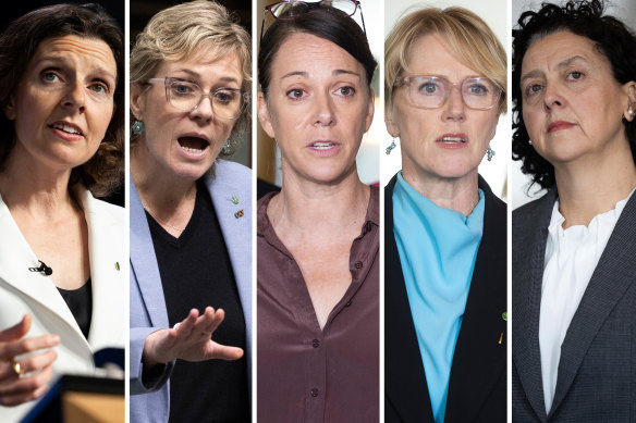 Teal appeal: Independent MPs Allegra Spender, Zali Steggall, Sophie Scamps, Zoe Daniel and Monique Ryan.