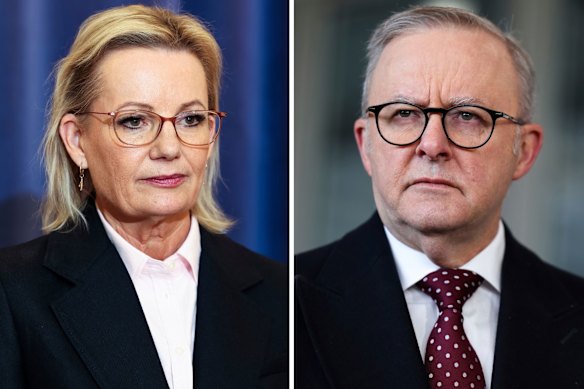 Sorry, Sussan, no kowtowing needed here
