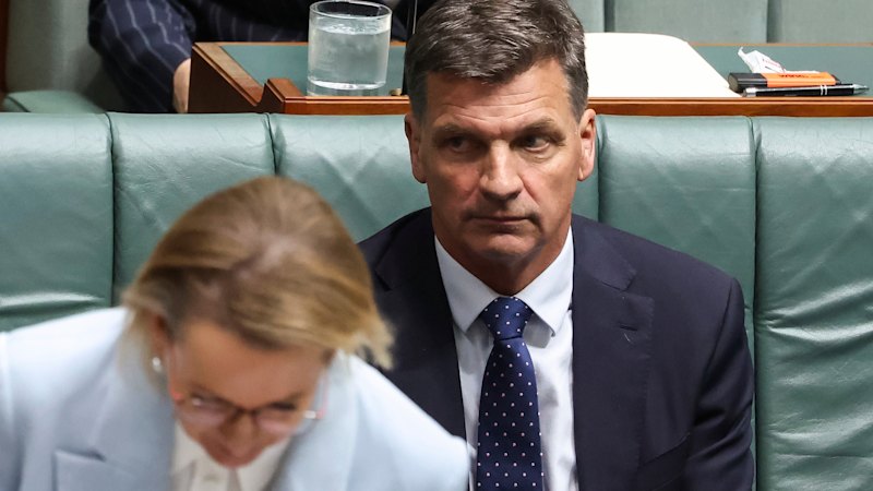Angus Taylor resigns from frontbench as Sussan Ley leadership challenge imminent