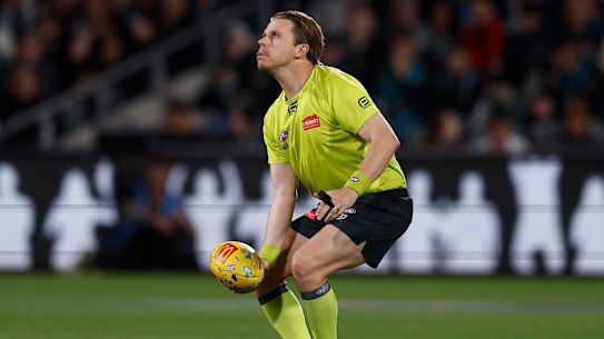 Umpire Nick Foot in action.