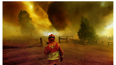 Farms and small businesses have been ravaged by the bushfires that have devastated East Gippsland.