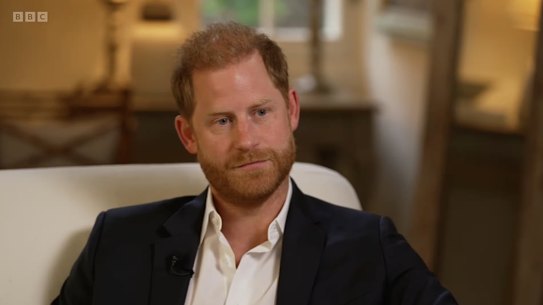 Prince Harry gave a candid interview to the BBC.